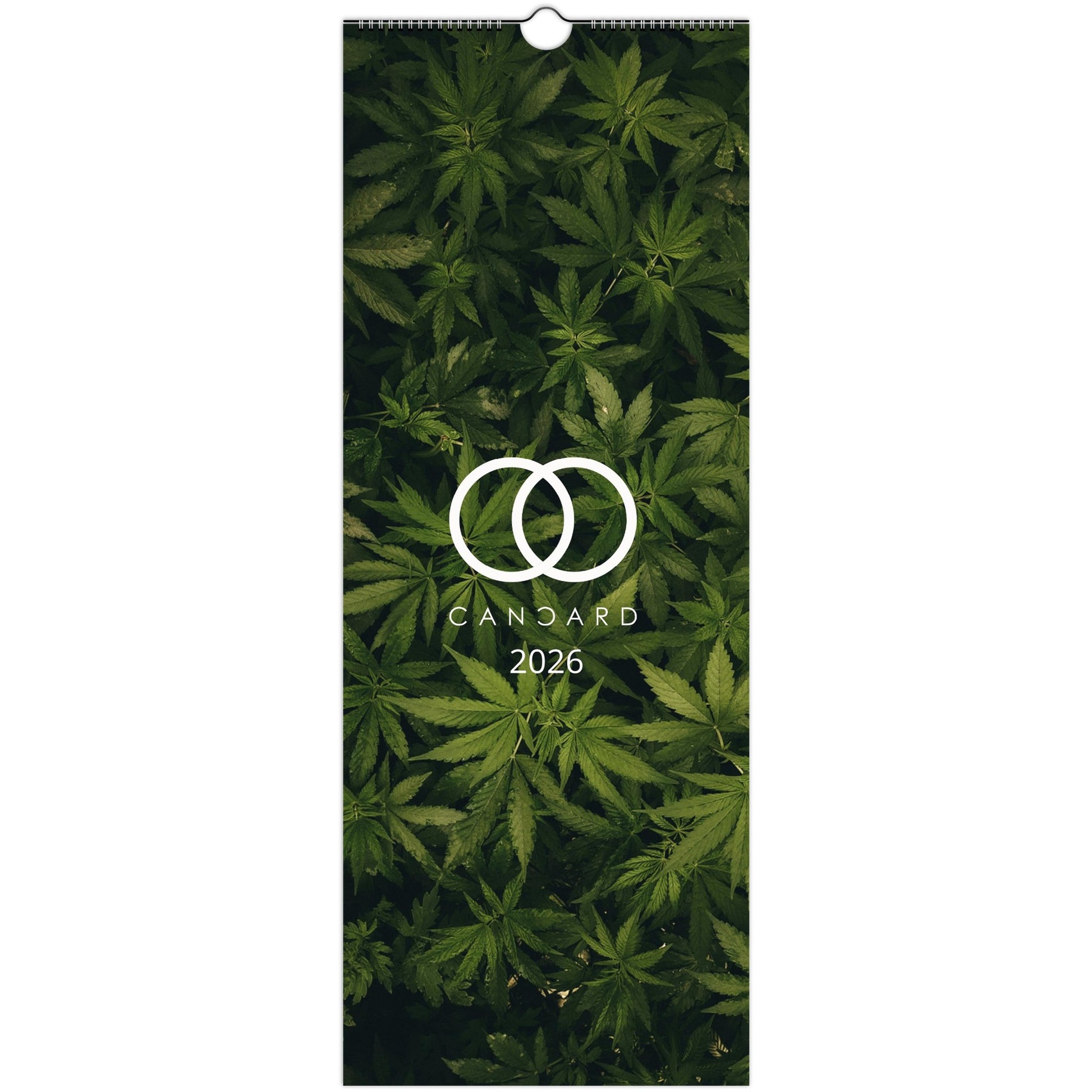 444a0e84-d74a-4de6-88df-5ac12da41831