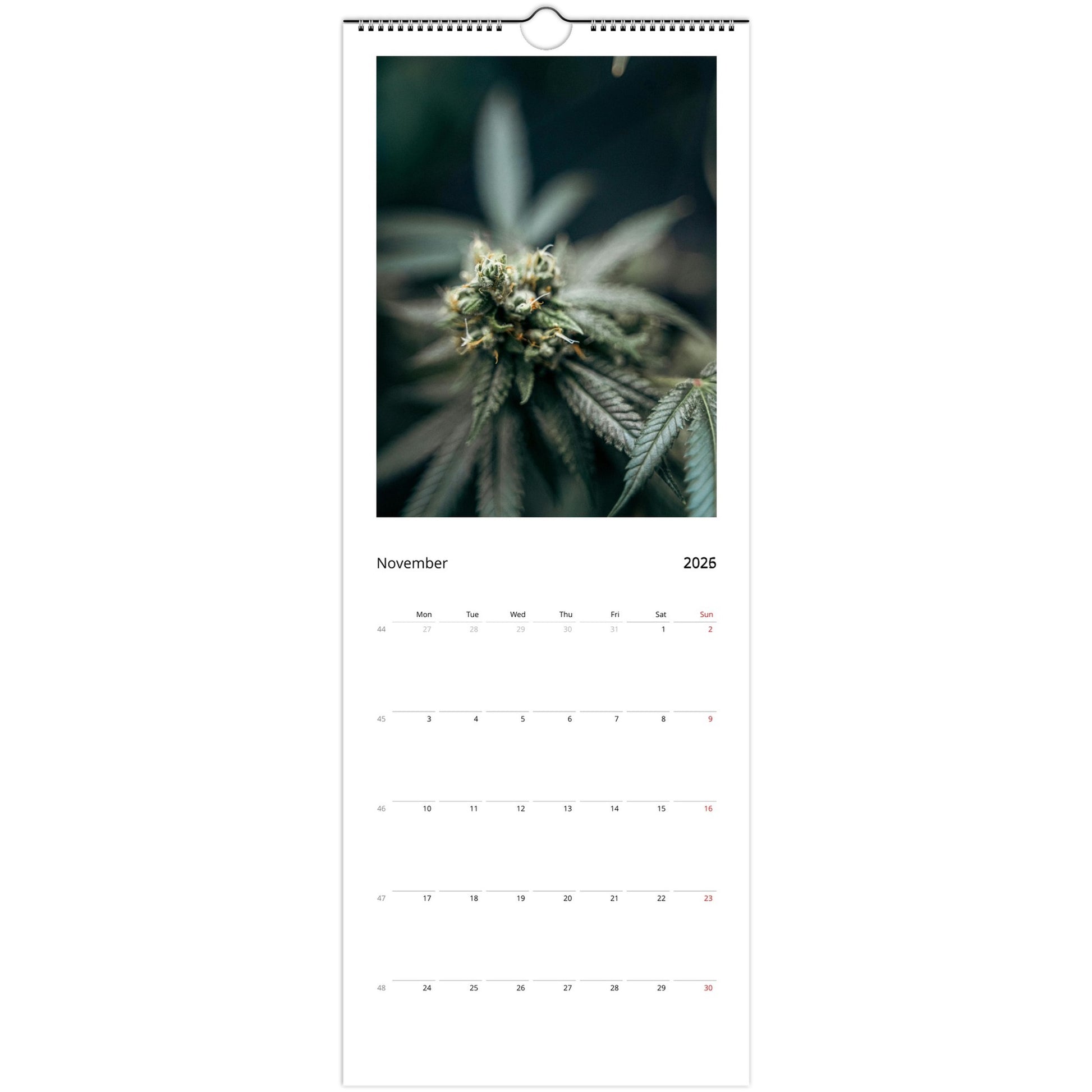 96ed590d-0258-4d64-ae40-6745b61dd715