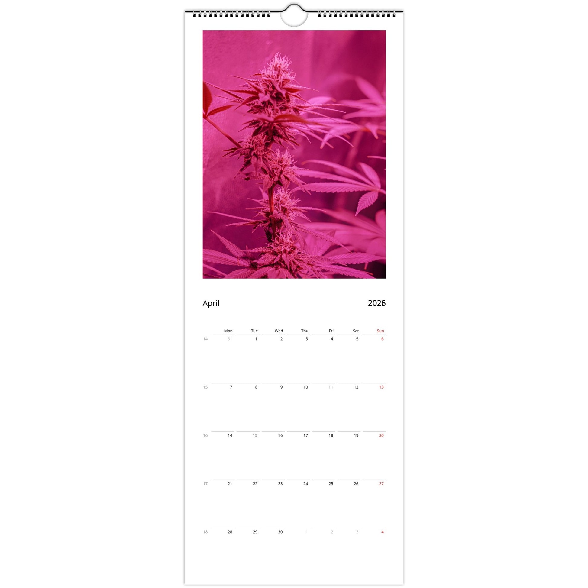 dce0f64e-503e-4aed-8d29-594f44428dae